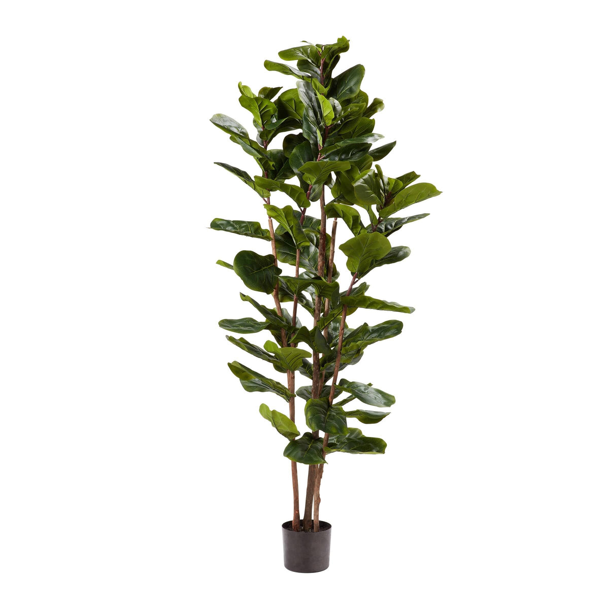 Pure Garden Faux Plant Natural Feel Leaves - Realistic Indoor Potted Topiary - Home Decor Artificial Fiddle Leaf Fig Tree - 72, Green