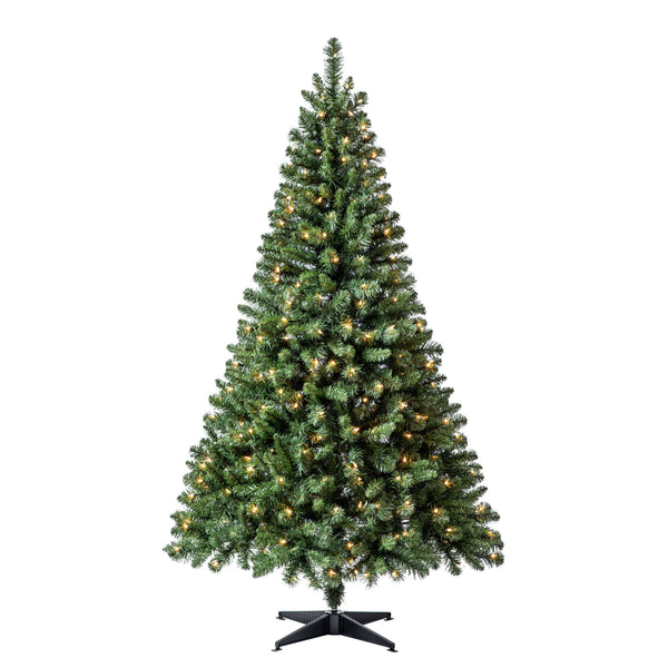 Clear Lights by Ashland 6' Pre - Lit Windham Spruce Artificial Christmas Tree - Each