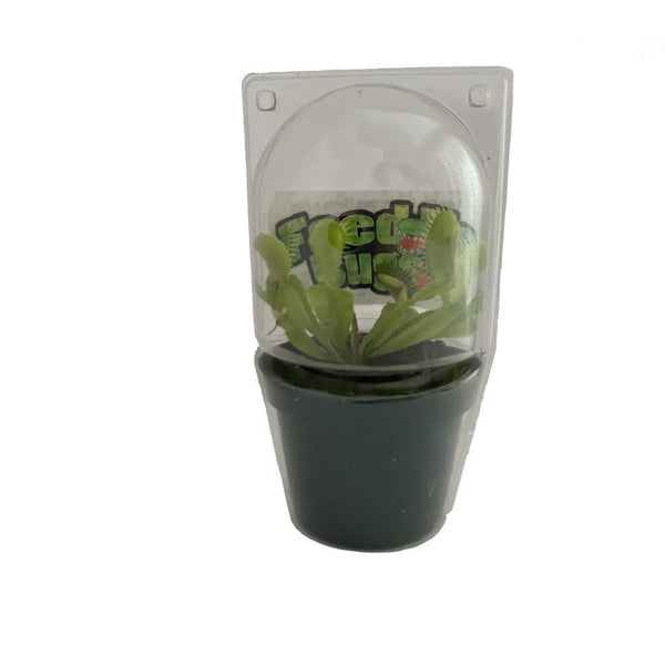 Gubler Carnivorous Plant House Plant in 1 - oz Pot - Nursery