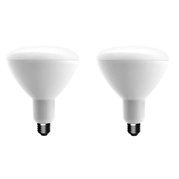 Ecosmart 75 - Watt Equivalent BR40 Dimmable Energy Star LED Light Bulb Bright White (2 - Pack)